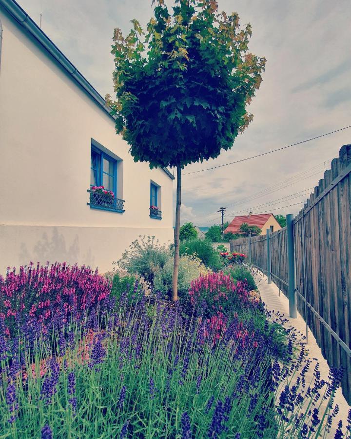 Sousedi Bed & Breakfast